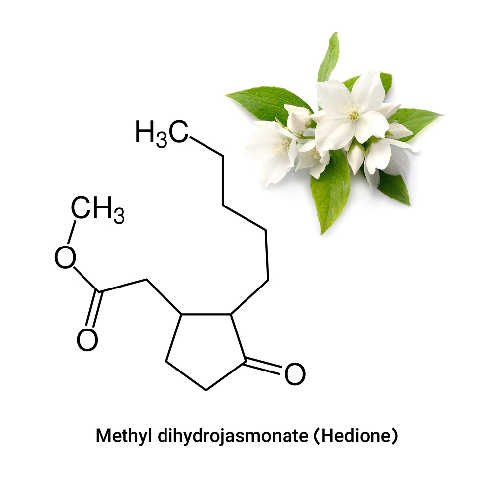 Methyl dihydrojasmonate (Hedione)